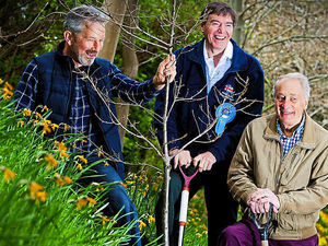 Supporting image for story: Dunne has a blooming good time on Ludlow campaign trail