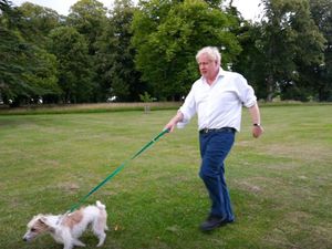 Supporting image for story