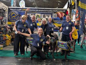 Volunteers from around the country attended the event with 13 'homeless' hounds and 16 homed hounds