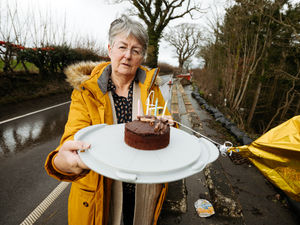 Supporting image for story: Watch: Chocolate cake for landslip's unhappy fourth birthday with 'little sign of progress'