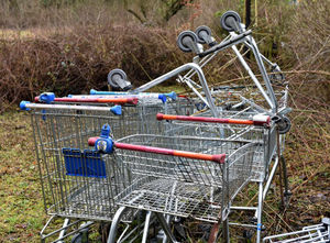 Some of the trolleys that have been dumped