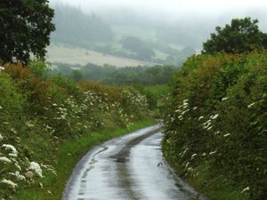 Supporting image for story: Ten-hour thunderstorm warning covering Shropshire issued by Met Office