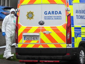 Supporting image for story: Bodies of boy and man removed from separate Dublin homes