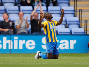 Supporting image for story: Shrewsbury 2 AFC Wimbledon 1 - Report 
