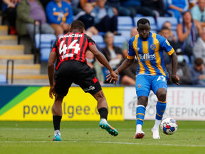 Supporting image for story: Shrewsbury v Charlton: Town’s home run can get them flying into big week