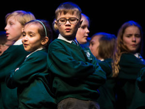 Supporting image for story: Stafford Schools Gotta Sing: More than 200 young people take part in Gatehouse Theatre show - with pictures and video
