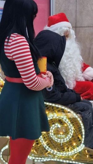 Santa's Grotto Churchill Precinct