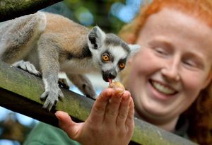 Head Keeper at Hoo Farm, Alison Bridgwater, feeds a baby born mid July, there has been an online feature to suggest a name for him
