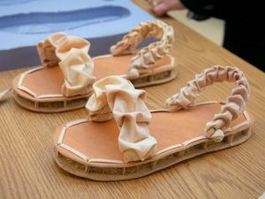 Supporting image for story: Researchers have created biodegradable shoes using mushrooms, chicken feathers and textile waste