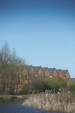 The Black Country Garden City aims to combine new homes with areas of green space (19374694)