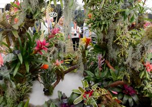 A show garden in the main marquee