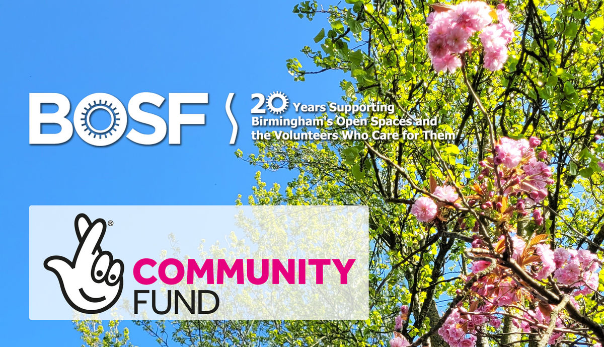 Birmingham Open Spaces Forum awarded National Lottery funding to grow green space volunteering in Brum
