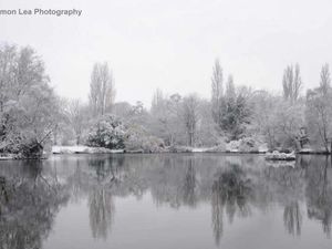 Supporting image for story: You don't know what you've got till it's gone