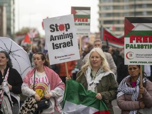 Supporting image for story: Demonstrators set to gather for multiple protests in London on Saturday