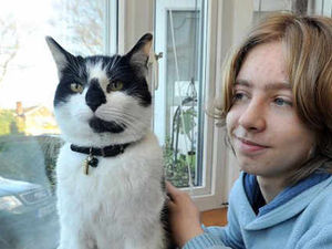 Supporting image for story: Cat returns after two years