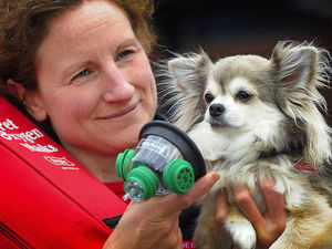 Supporting image for story: Watch: Shropshire pet oxygen masks campaign a success