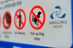 Under the proposals, dogs will be prohibited from fouling in the public area even if you pay for access or the mess is cleared up
