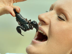 Supporting image for story: Mark Andrews: It's a bug's life being green