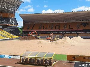 Supporting image for story: Pitch perfect: Wolves invest big in new playing surface