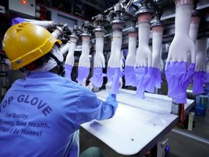 Supporting image for story: Malaysia virus outbreak delays production at world’s top glove maker