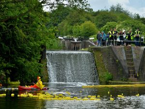 Supporting image for story: Get ready for a quacking good time at hospice's annual duck race