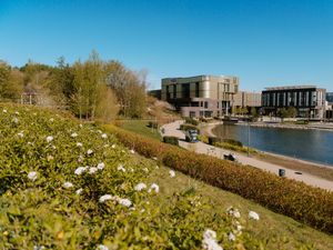 Supporting image for story: 'Paranoid' monkey dust user head-butted community support officer while high in Telford town centre