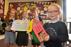 Learning about the world of Bees is (eft to right) Aurelia Colley, Nishka Spencer, Lincoln Heath and Lily Clarke