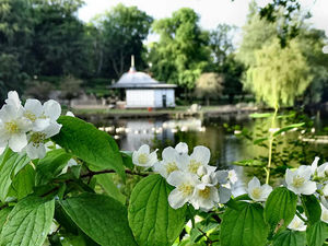 Supporting image for story: Lovin' summer (42)