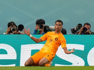 Supporting image for story: Netherlands see off Senegal to seize control of Group A in World Cup