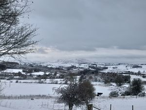David Ellison shared this picture from 'just under Manstone rock of the Stiperstones'
