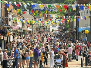 Supporting image for story: Oakengates Carnival in pictures