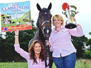 Supporting image for story: Thousands likely to flock to Llanfyllin Show