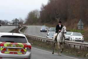 One of the huntsmen is pictured by a Shropshire Star reader on his horse on the A5 dual carriageway near Shrewsbury