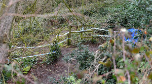 There are still large areas of land taped off in the woodland
