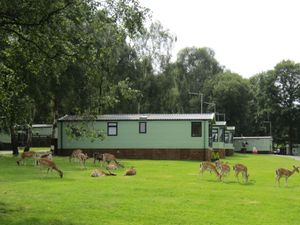 Supporting image for story: Holiday park owners to appeal council's rejection of expansion plans