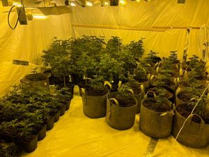 Supporting image for story: Two charged over Telford cannabis farm