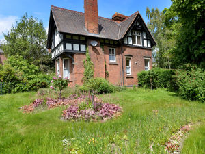 Supporting image for story: Friends group slams council over continued delay in grass cutting