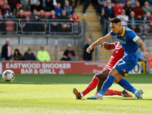 Supporting image for story: Matt Taylor puts his faith in Shrewsbury