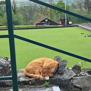 Having a nap while waiting for the next bowling match