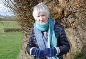 Supporting image for story