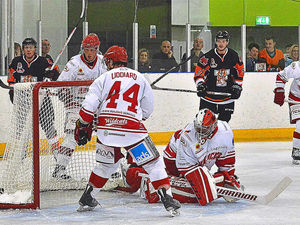 Supporting image for story: Videos: Tigers urged after a mixed start