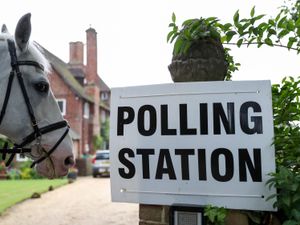 A horse looks at a polling station sign in Bramshill, Hampshire, in 2017