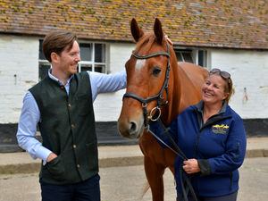 Supporting image for story: Riders treble at horse riding centre after move to Shropshire