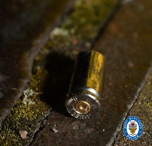 Image of one of the bullet casings