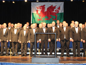 Supporting image for story: Concert will be music to the ears of hospice fundraisers