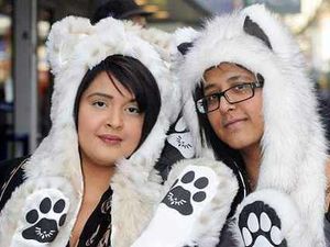 Supporting image for story: Animal magic for followers of hat fashion