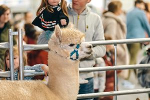 Shropshire's original kid's festival is set to return to the International Centre in 2023