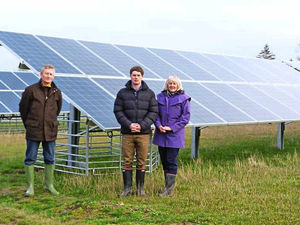 Supporting image for story: Shropshire farmers turning to solar energy to boost income