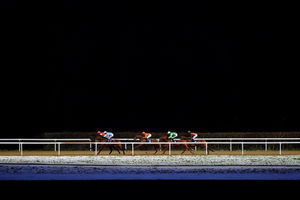 Saffron Dandy ridden by Sean Levey on their way to winning the Bet 10 Get 40 With BetMGM Handicap at Wolverhampton Racecourse. Picture date: Tuesday January 6, 2026. PA Photo. Photo credit should read: David Davies/PA Wire.RESTRICTIONS: Use subject to restrictions. Editorial use only, no commercial use without prior consent from rights holder.