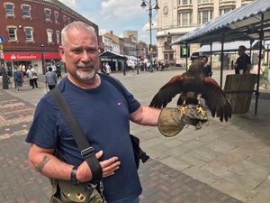 Supporting image for story: How a hawk helps tackle ‘nuisance’ pigeons in Walsall town centre